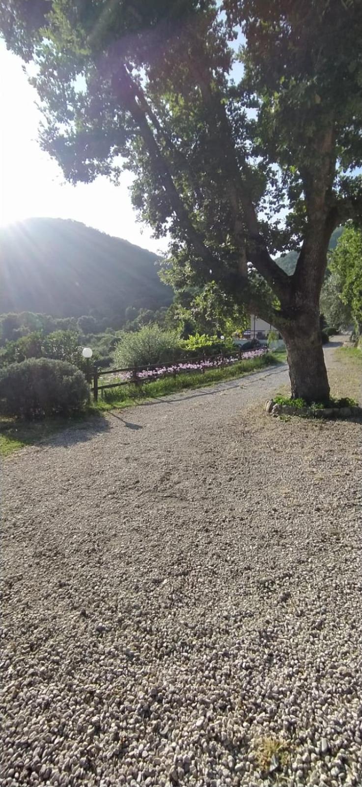 Azienda Agricola Biologica La Cardellina Tolfa Eksteriør billede
