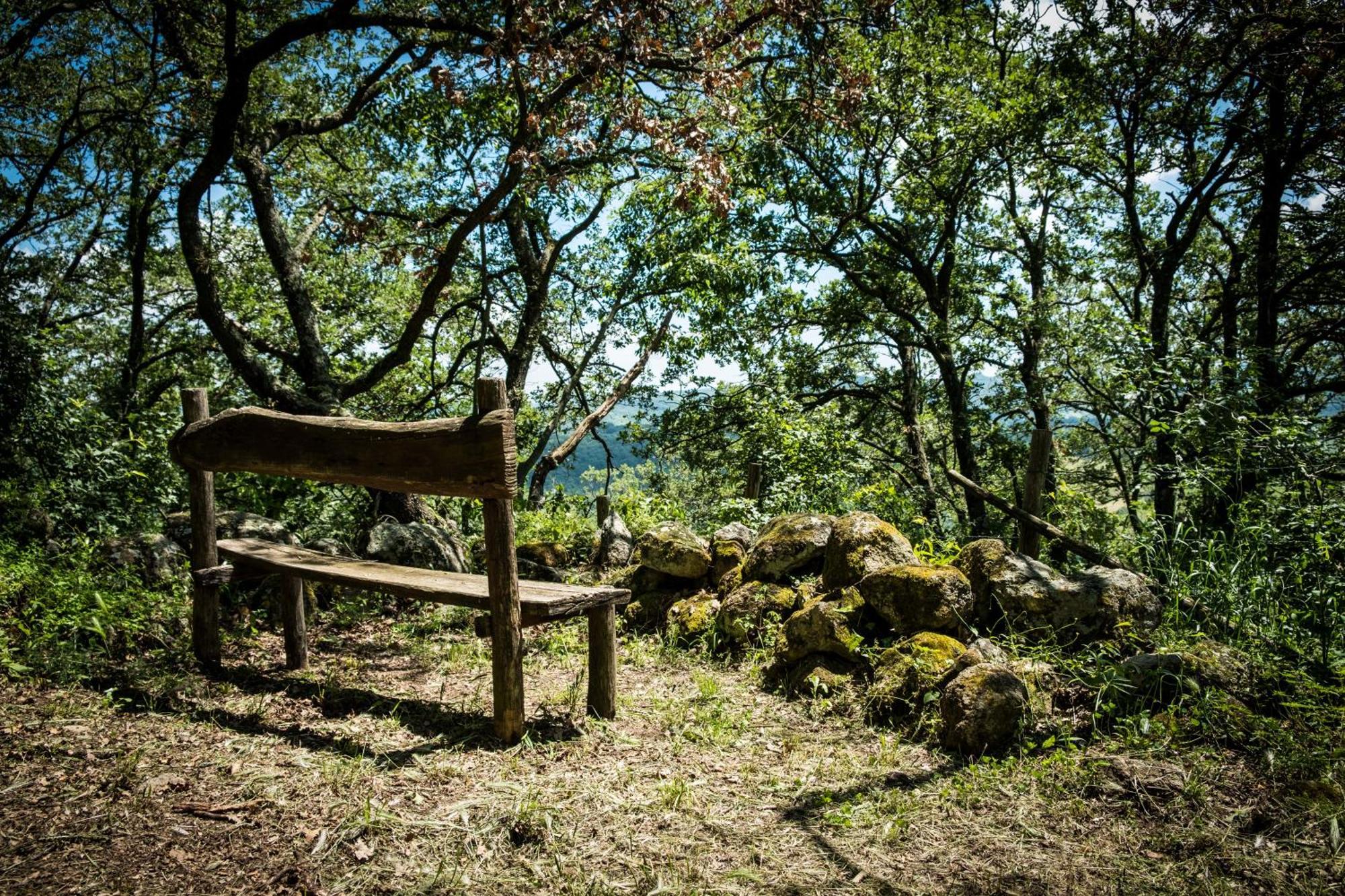 Azienda Agricola Biologica La Cardellina Tolfa Eksteriør billede